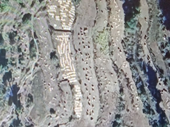 IMG_20250910_155117~2 | bhoosampatti.com