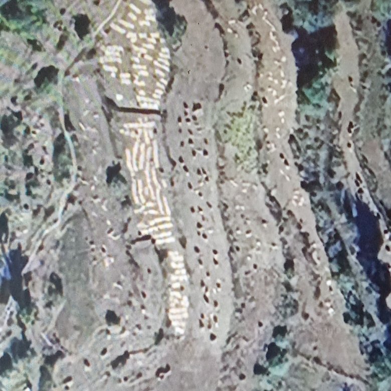 IMG_20250910_155117~2 | bhoosampatti.com